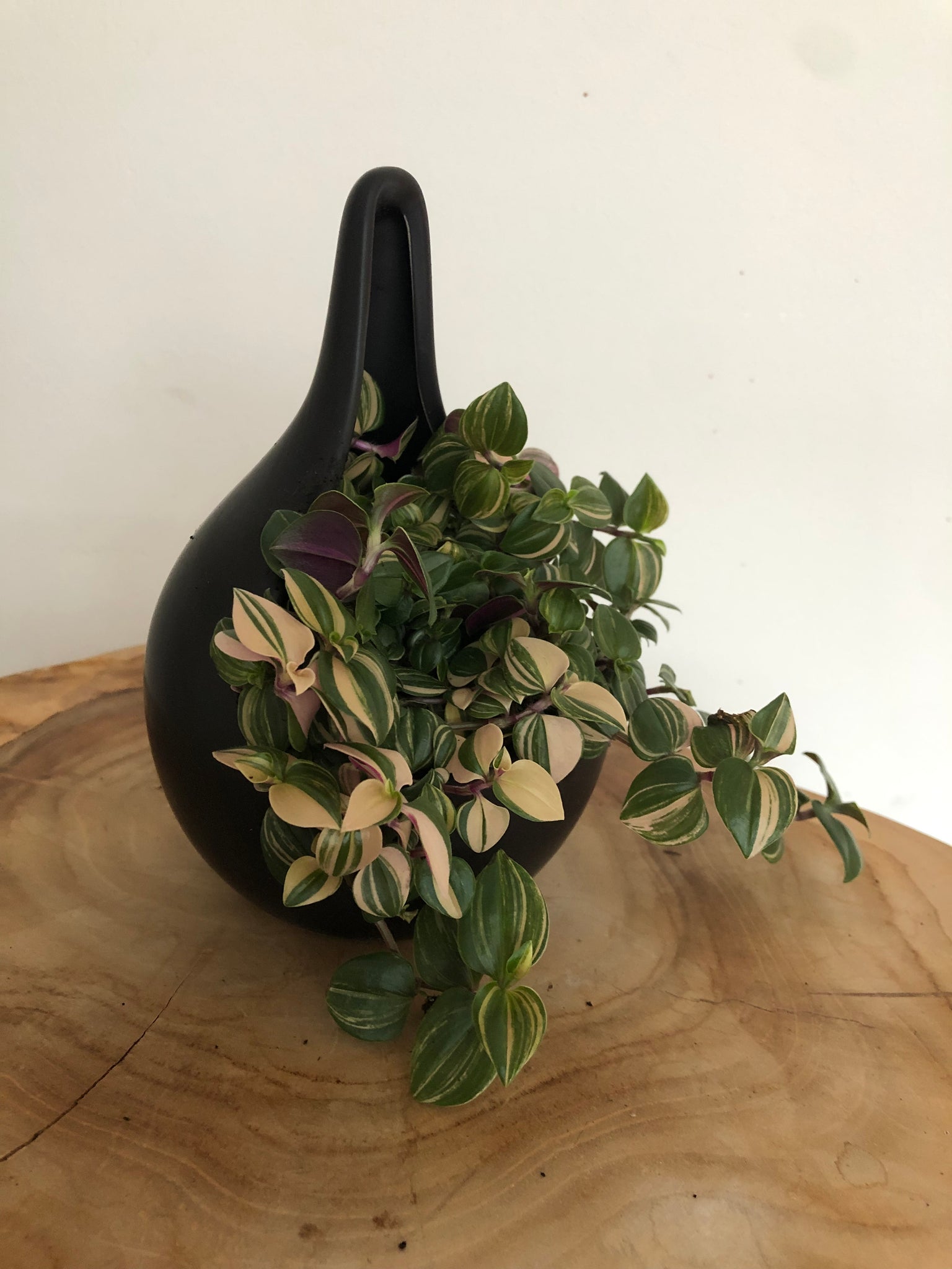 Keramik Tropfen Schale für Pflanzen